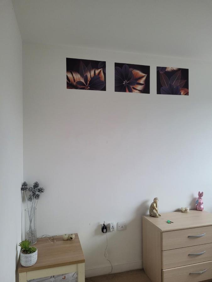 Room Near Heathrow Airport Ґіллінґдон Екстер'єр фото
